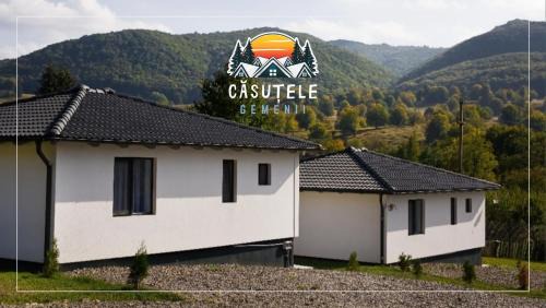 Ibanesti Villa | Căsuțele Gemenii