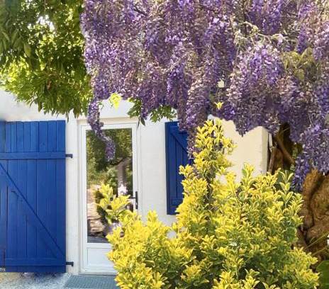 Mees House | C'est une maison bleue adossée à la forêt