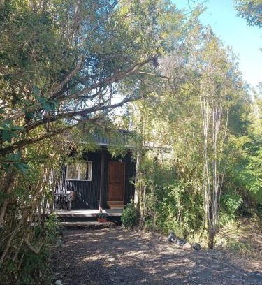 Puerto Varas Ski Chalet | Cabaña en el bosque con opción tina caliente