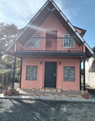 Volcan House | Cabaña en Volcan