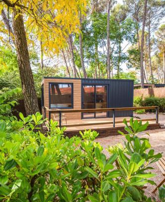 Sacedon Other | Cabañas del bosque Sacedón