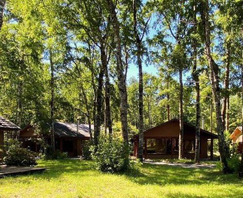 Pucon House | Cabañas en Pucón