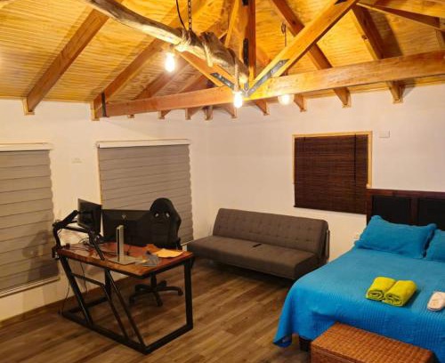 Ralco Ski Chalet | Cabañas rio Biobio