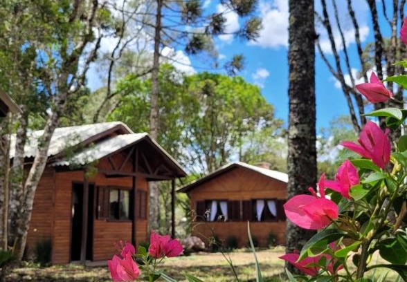 Sao Francisco de Paula House | Cabanas dos Pinheiros