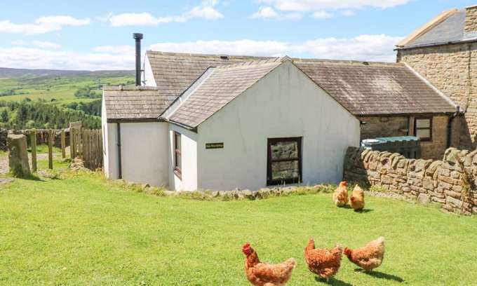 Allendale Cottage | Cabin ∙ 2 bedrooms ∙ 4 guests