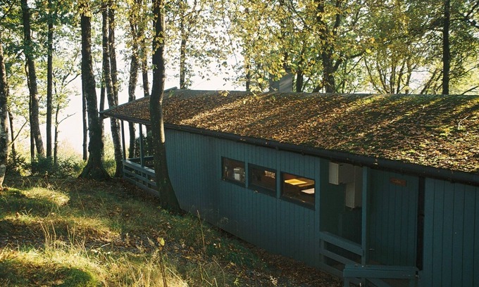 Oystese Cabin | Cabin in meditative oakwood Unit 4 (Neshagen)