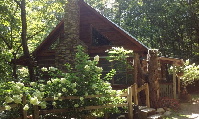 Blue Ridge Cabin | Cabin on White Water Toccoa River!