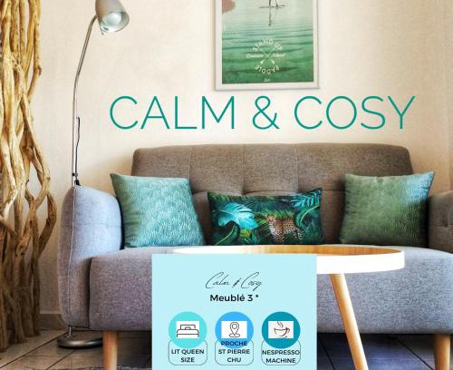 Saint-Pierre De La Reunion Apartment | Calm & Cosy, magnifique T1 proche CHU