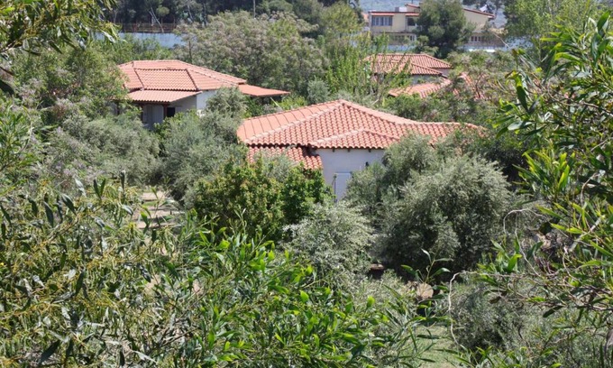 Kakovatos House | Calm located, amid an olive grove, close to the beach, wifi holiday house Ilia, Peloponnese