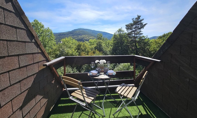 Klingenthal Apartment | Calme et Nature Duplex 2 Pièces Terrasse Piscine 4/5 Personnes