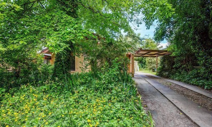 Bright Apartment | Camelia Place, Bright
