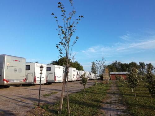 Novi Sad Other | Camp Salaš Farma 47 Čenej
