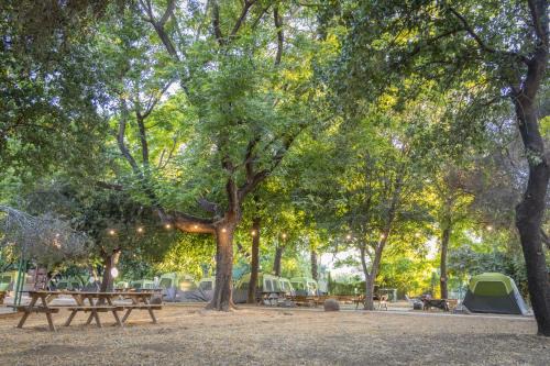 Dafna Other | Camping Dafna - By Travel Hotel Chain