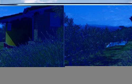 Vinci House | Cantagrilli 3