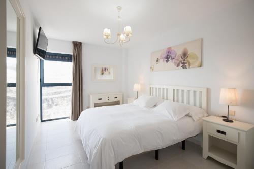 Bahia Calma Apartment | Cardon Big Calm 19