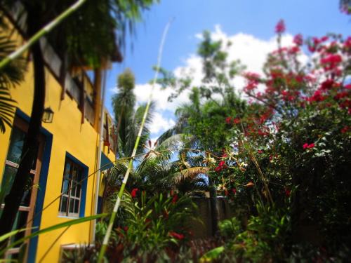 Tulum City Center Hotel | Casa Abanico Tulum