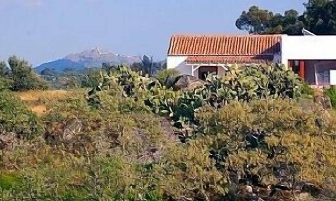 Castelo de Vide Villa | Casa Amor Perfeito is an unique romantic hide away