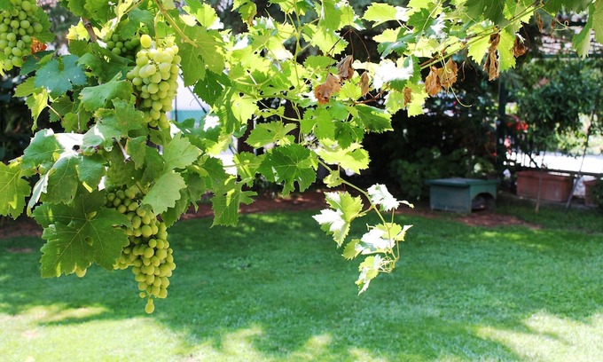 Venafro Hotel | Casa BlueLive