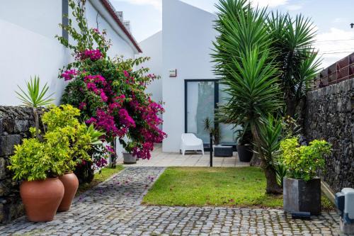 Ribeira Grande Ski Chalet | Casa da Árvore - Chalé