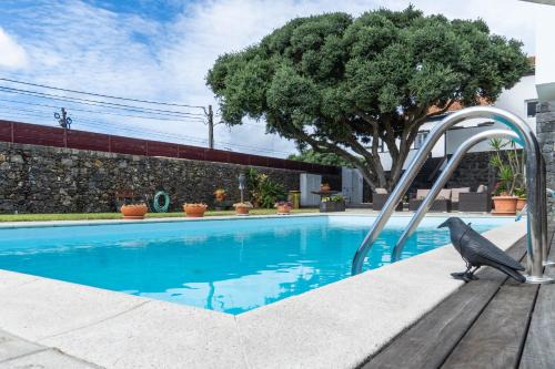 Ribeira Grande Villa | Casa da Árvore