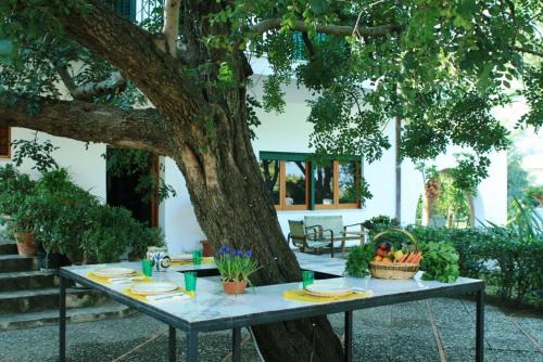 Carini Villa | Casa del carrubo