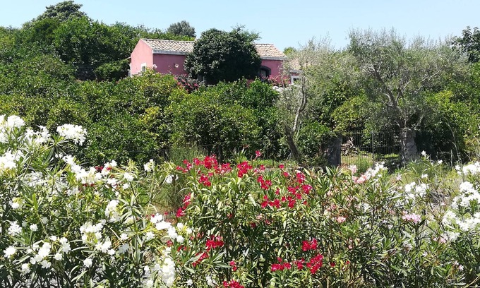 Archi House | Casa della Camelia-the quintessential country getaway close to all attractions