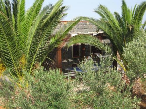 Ustica House | casa delle palme