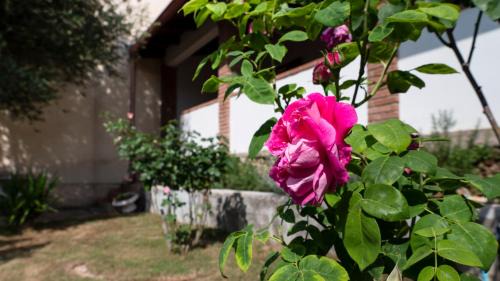 Iglesias House | Casa di Elena - Iglesias
