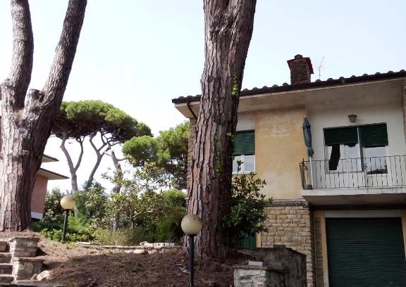 Tirrenia Apartment | Casa Felci