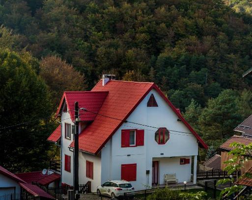 Valiug House | Casa Flavius