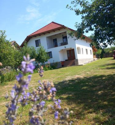 Gorj House | CASA LAVINIA CRASNA GORJ