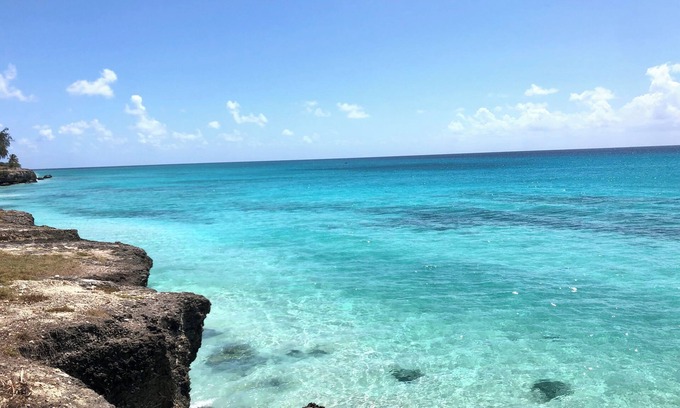 Enterprise Condo | Casa Patchouli a breezy little gem 5 min walking distance from Miami Beach.