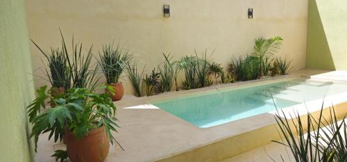 Chichen Itza - Valladolid House | Casa Zogo Origen