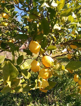 Santa Ana la Real Cottage | Casas Rurales Los Montes for 4 people
