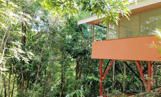 Dominical Cabin | Casita in canopy surrounded by jungle 5 minute walk to beach