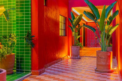 Guadalajara Apartment | Casona Quetzal