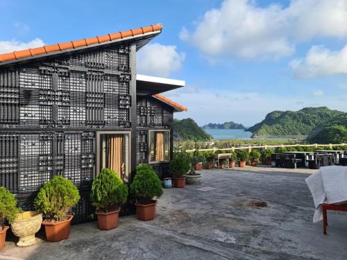 Cat Hai Bed & Breakfast | Cat Ba Mountain View Homestay