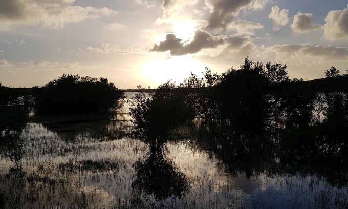 Calvin Hill Apartment | Ce'Van Villas at Grog Pond - "Nature's Nest Of Comfort"