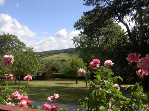 Minehead House | Cedar Lodge