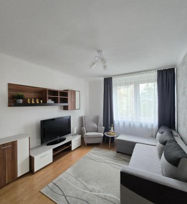 Kielce Apartment | Centrum Rose Apartament