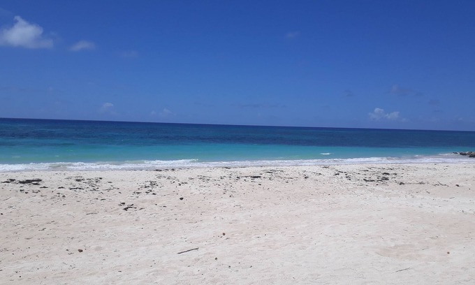 Maxwell House | CHADVILLE Barbados hosted by Rachel