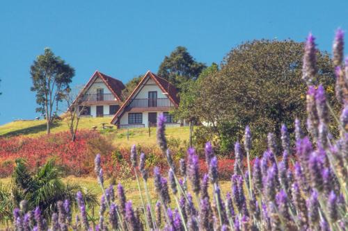 Pardinho House | Chalés da Cuesta