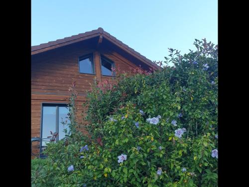 Ferdrupt House | Chalet Bois Cosy - Climatisé - Piscine privée