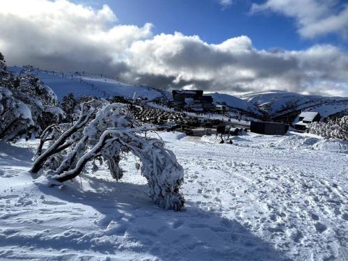 Hotham Heights Apartment | Chalet Hotham 3