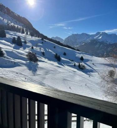 Villard-Reculas Ski Chalet | Chalet Le lagopède