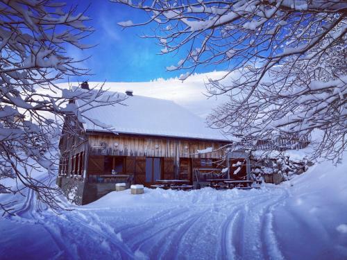 Mieussy Ski Chalet | Chalet le Maclavierre