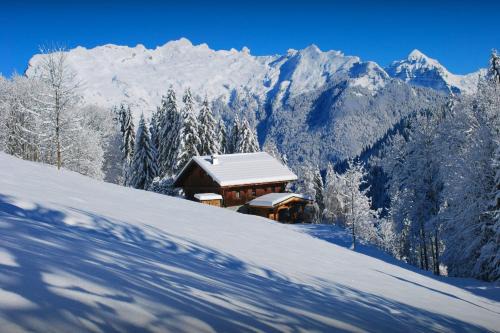 Samoens Ski Chalet | Chalet Les Pellys - OVO Network