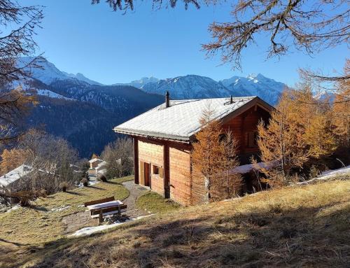 Bellwald Apartment | Chalet Luisa