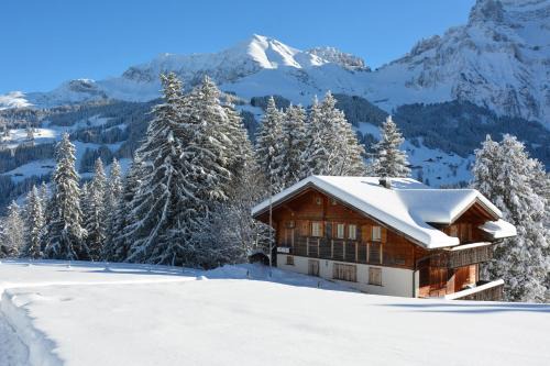 Adelboden Apartment | Chalet Meiseli