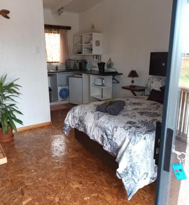 Colchester Apartment | Chameleon Lodge